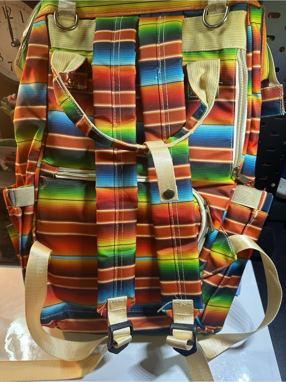 Multicolor Striped Canvas Men's Backpack